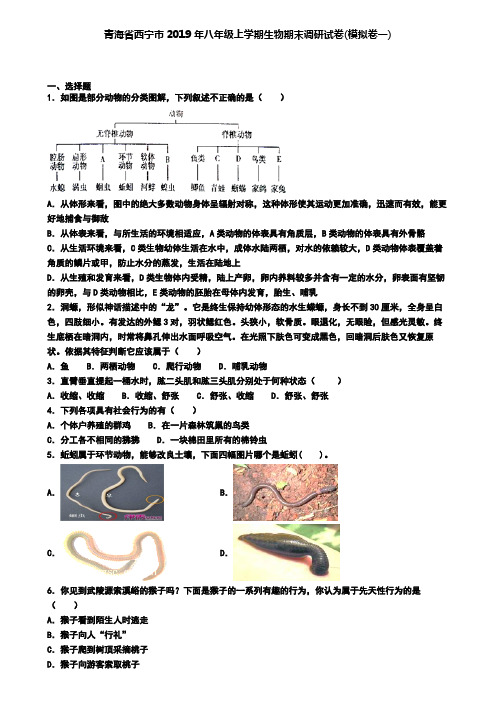 青海省西宁市2019年八年级上学期生物期末调研试卷(模拟卷一)