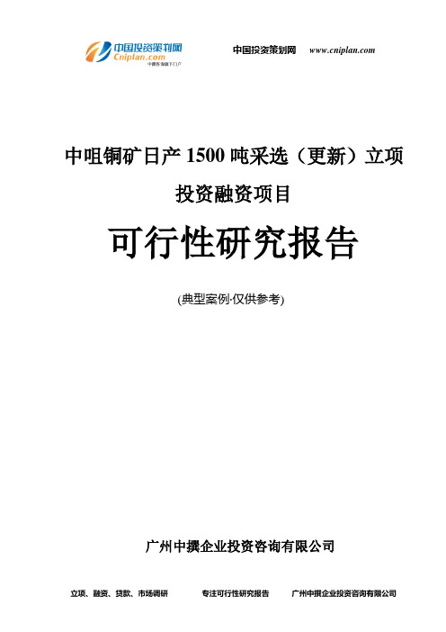 中咀铜矿日产1500吨采选(更新)融资投资立项项目可行性研究报告(非常详细)