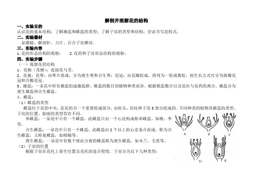 花的解剖实验报告