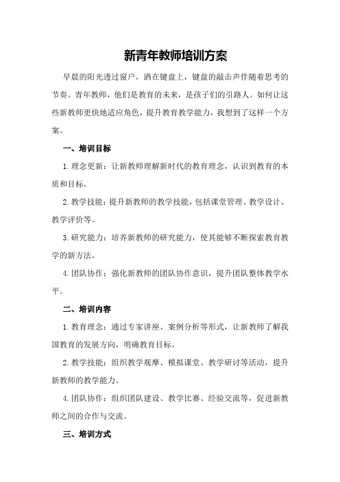 新青年教师培训方案