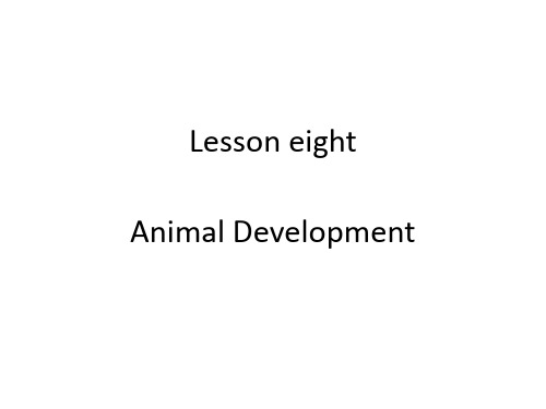 lesson eight animal development