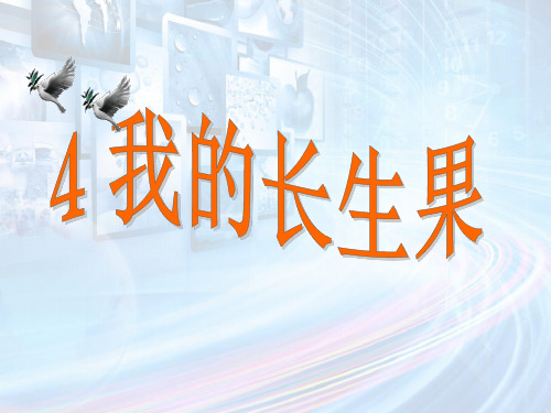 五年级上册语文课件4 我的“长生果”｜人教新课标 (共13张PPT)