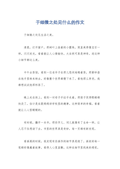 于细微之处见什么的作文