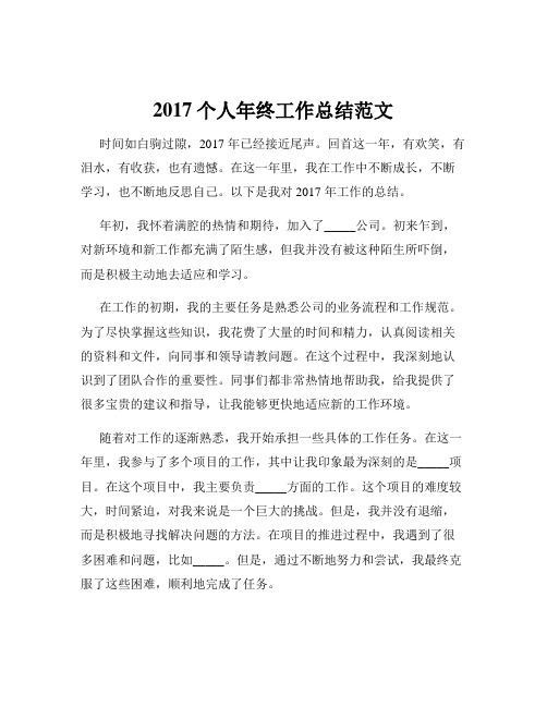 2017个人年终工作总结范文