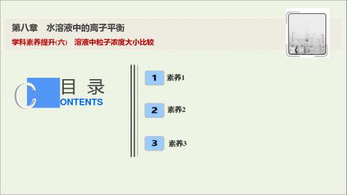 2020届高考化学一轮总复习第八章学科素养提升(六)溶液中粒子浓度大小比较课件