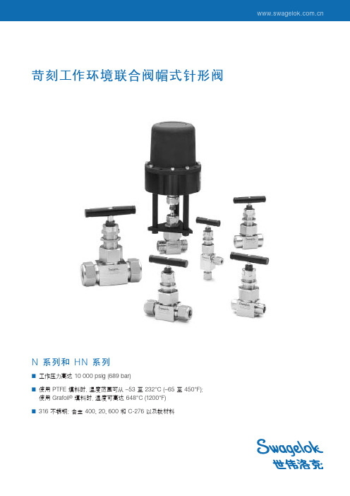 联合阀帽式针型阀N和HN系列.