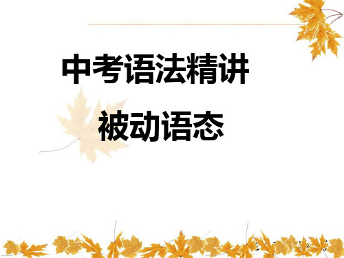 中考 被动语态 课件(PPT36张)