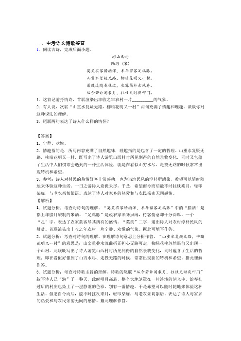 2020-2021中考语文二模试题分类汇编——诗歌鉴赏综合含详细答案