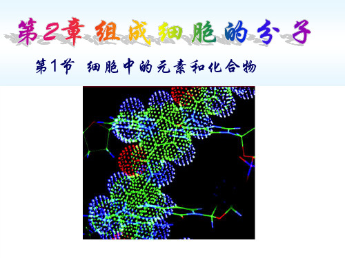 人教版高中生物 必修一 课件  第二章 组成细胞的分子