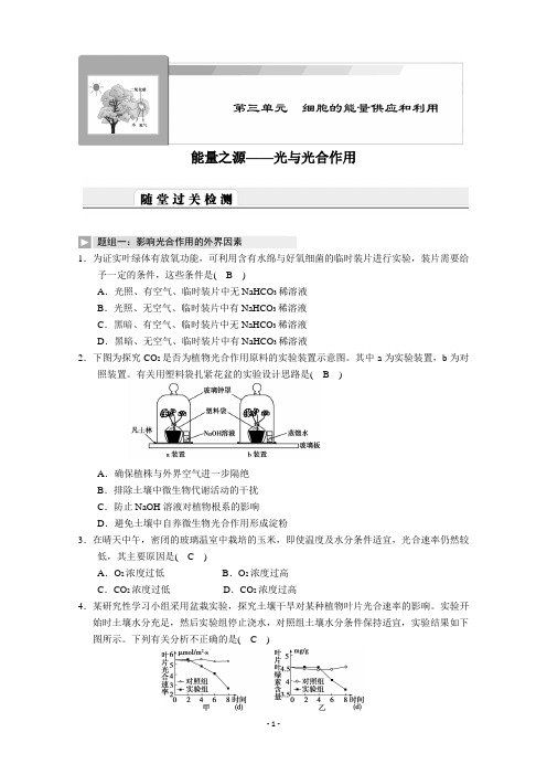 高考生物光与光合作用复习题(含答案)