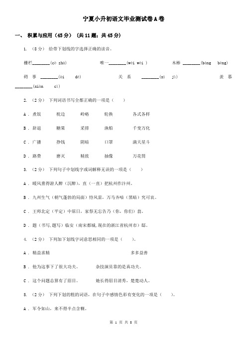 宁夏小升初语文毕业测试卷A卷