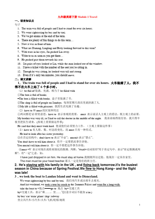 九年级英语Module 1 外研版讲解及练习