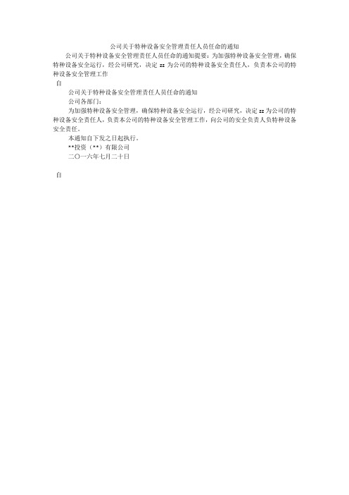 公司关于特种设备安全管理责任人员任命的通知