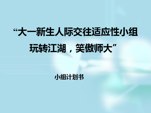 小组计划书ppt