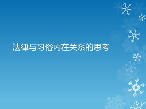 法律与习俗内在关系的思考