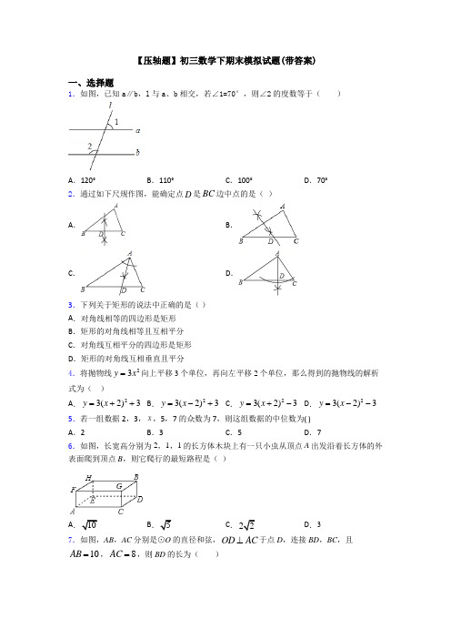 【压轴题】初三数学下期末模拟试题(带答案)