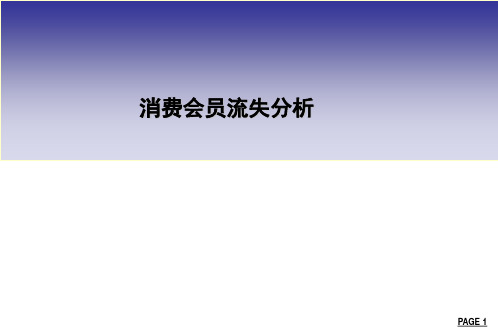 会员流失分析20071020.