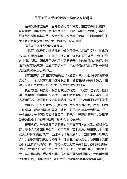 员工关于执行力会议发言稿范文5篇精选