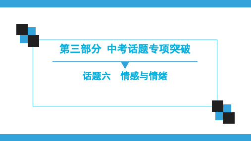 英语中考总复习 话题6 情感与情绪