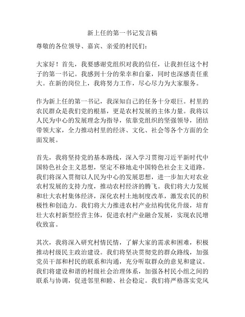 新上任的第一书记发言稿