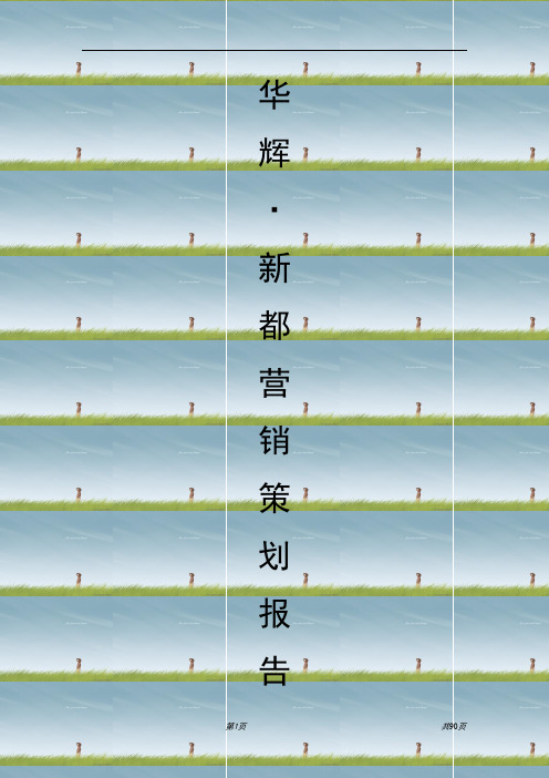 新都营销策划报告