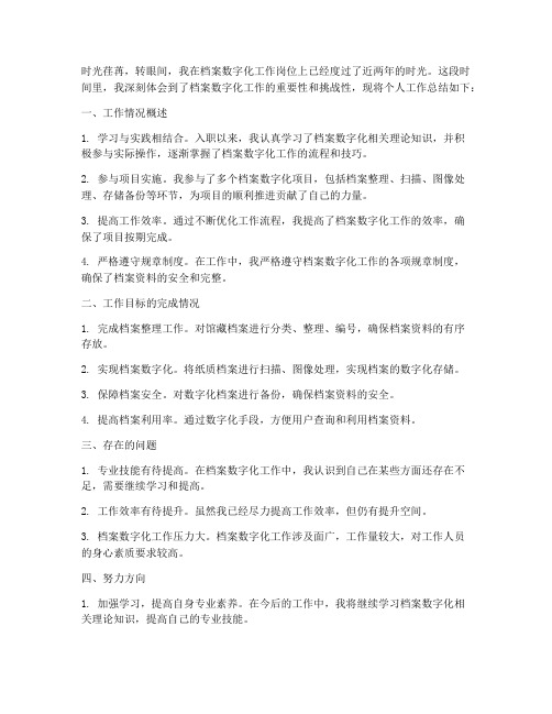 档案数字化工作总结个人