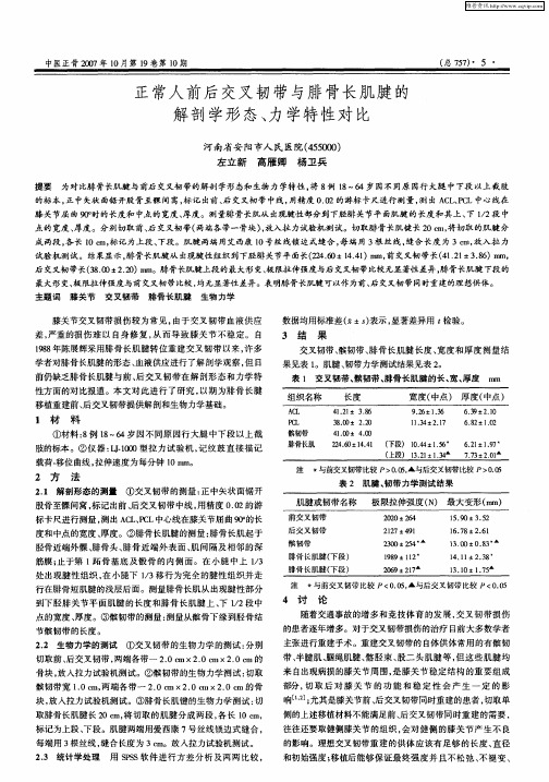 正常人前后交叉韧带与腓骨长肌腱的解剖学形态、力学特性对比