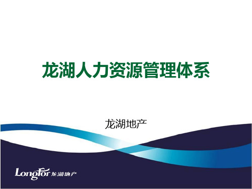 龙湖地产集团  人力资源  【体系】龙湖地产人力资源体系