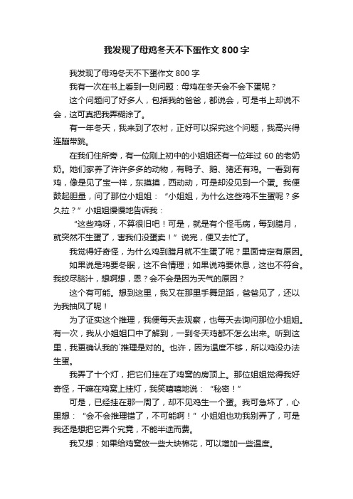 我发现了母鸡冬天不下蛋作文800字