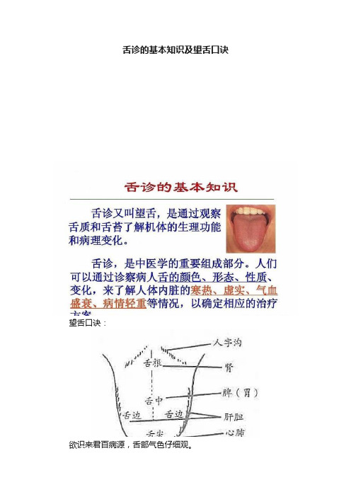 舌诊的基本知识及望舌口诀