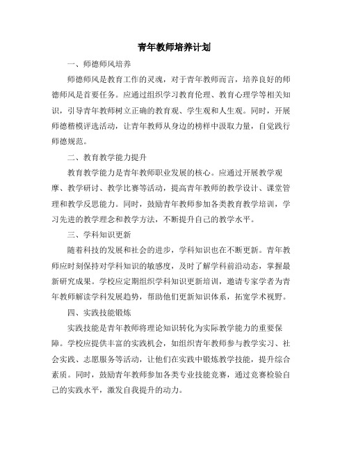 青年教师培养计划