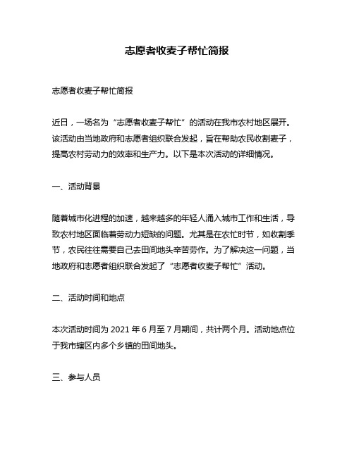 志愿者收麦子帮忙简报