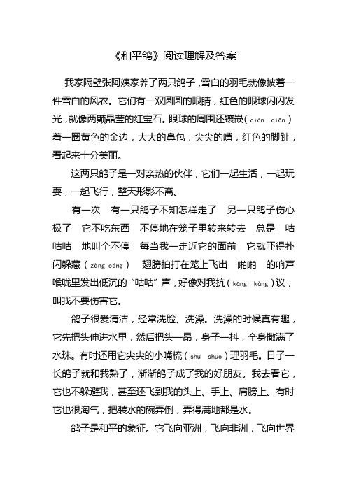 和评鸽 阅读理解答案