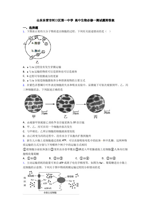 山东东营市河口区第一中学 高中生物必修一测试题附答案