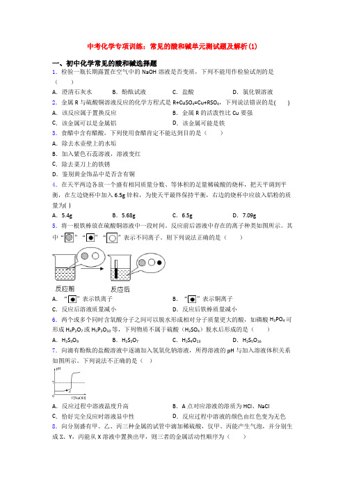 中考化学专项训练：常见的酸和碱单元测试题及解析(1)