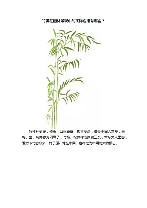 竹类在园林景观中的实际应用有哪些？