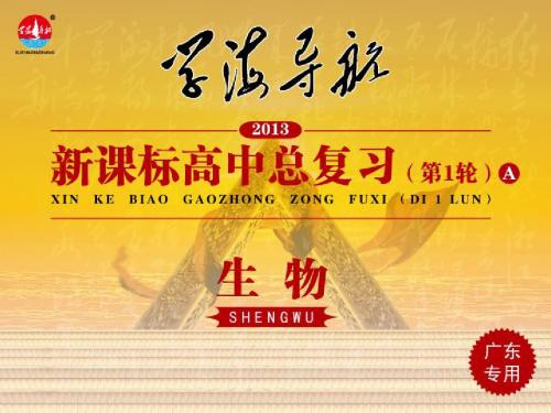 2013届 新课标高中总复习(第1轮)A(生物)广东专版 必修2 第7讲 基因指导蛋白质的合成