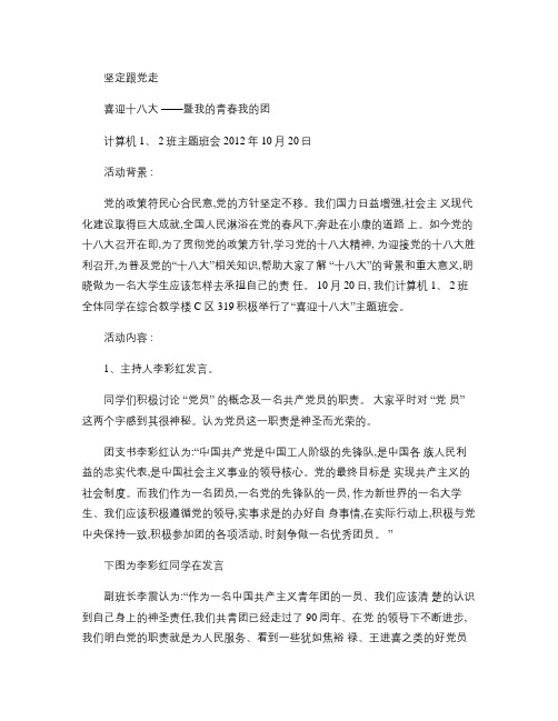 18大班级主题会议总结教程