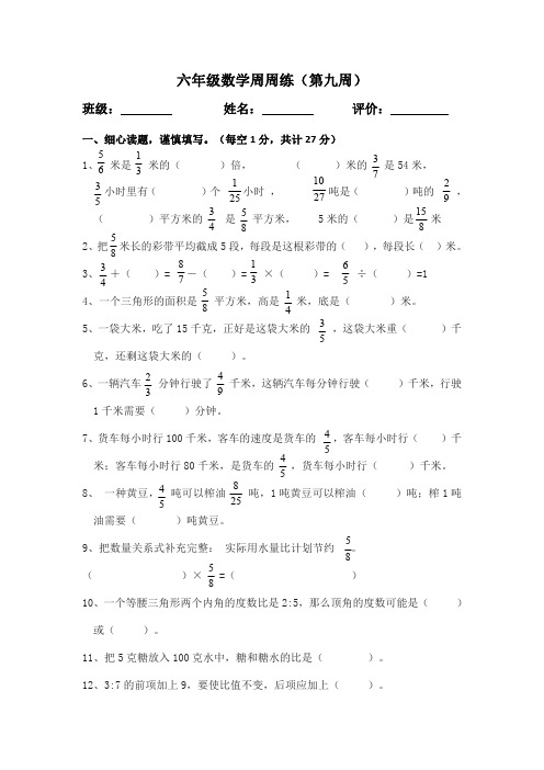 苏教版六上数学周周练(第九周)