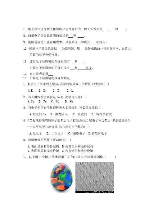 扫描电镜参考资料