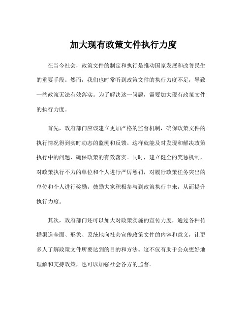 加大现有政策文件执行力度