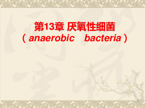 医学微生物学 第13章 厌氧性细菌PPT课件