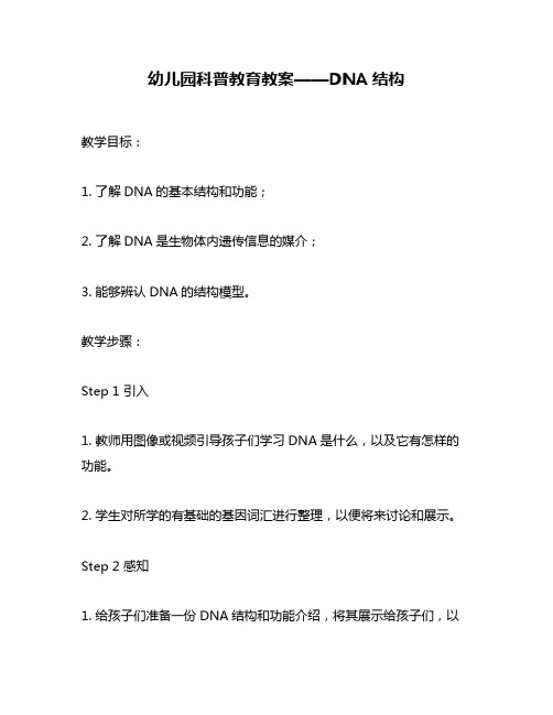 幼儿园科普教育教案——DNA结构