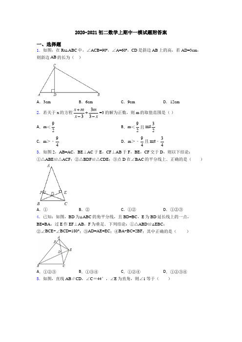 2020-2021初二数学上期中一模试题附答案