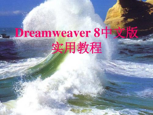 Dreamweaver 8中文版实用教程 第1章_认识Dreamwaver