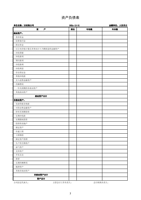 最新最全融资担保公司报表模板