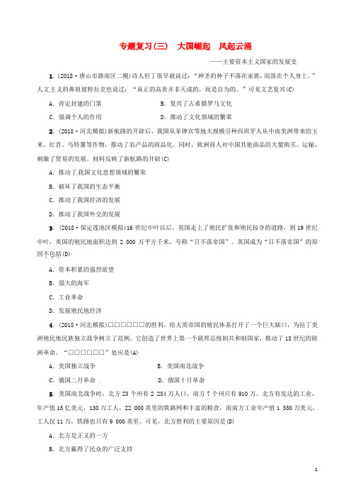 中考历史总复习突破第二部分专题复习篇专题三大国崛起风起云涌—大国史及国际关系检测