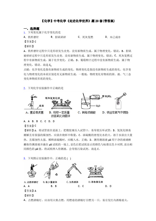 【化学】中考化学《走进化学世界》题20套(带答案)