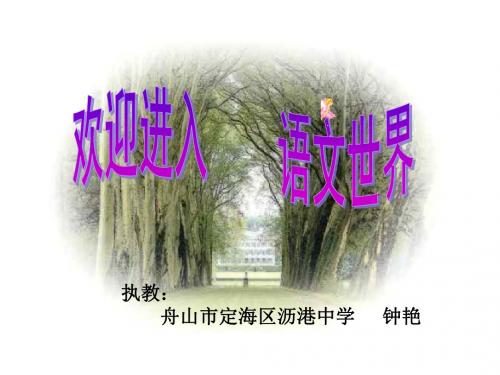 《我的第一本书》课件(2019年9月整理)