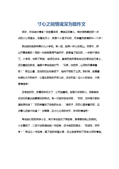 寸心之间情谊深为题作文